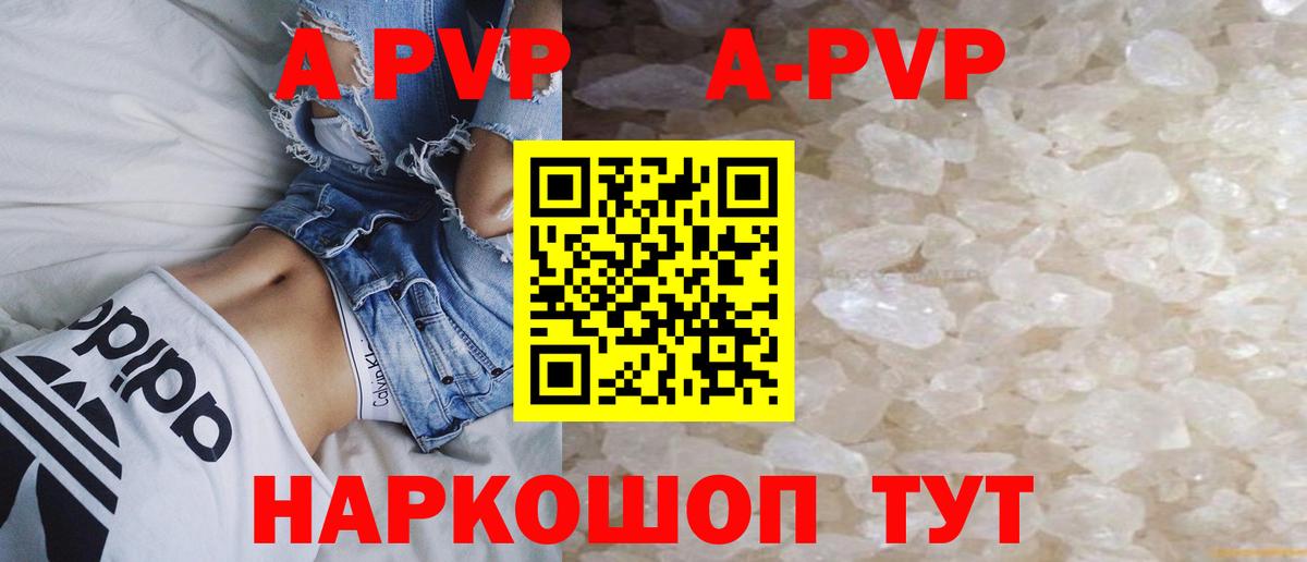 Alfa_PVP СК Саранск