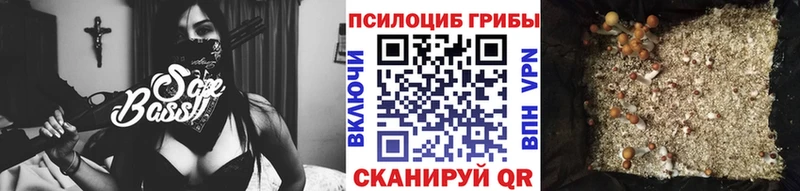 Псилоцибиновые грибы Magic Shrooms  хочу наркоту  Саранск 