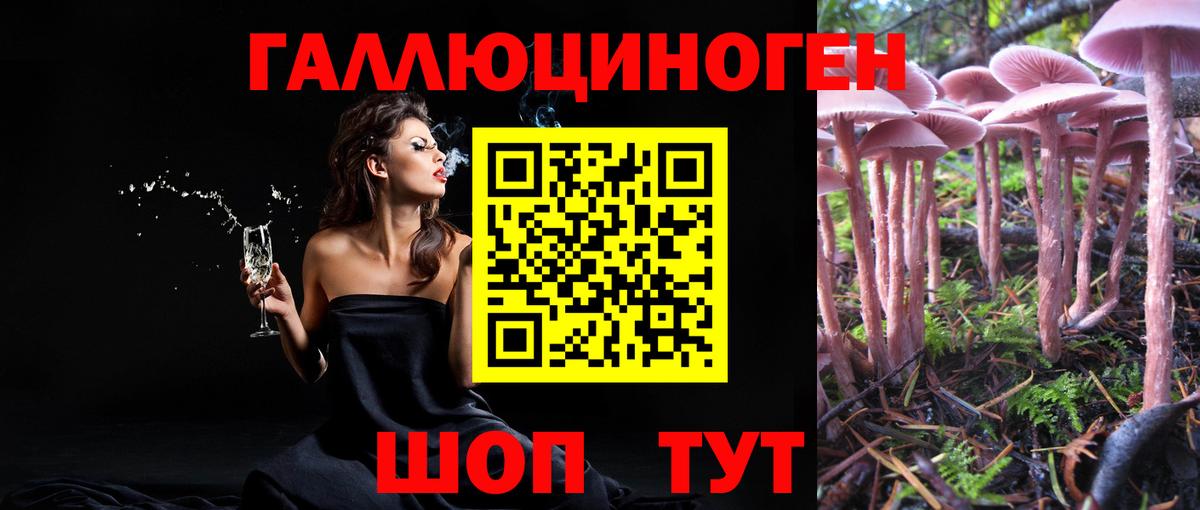 Саранск  Псилоцибиновые грибы MAGIC MUSHROOMS  Вход с VPN 